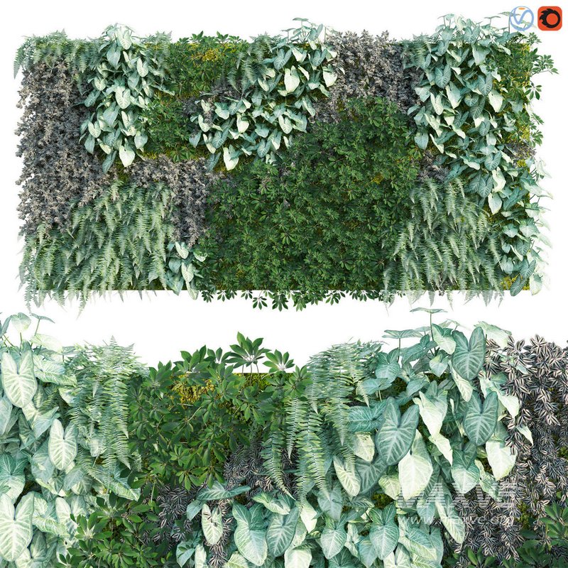 Vertical garden 04 - Image 1