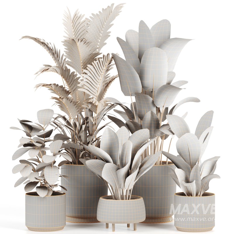 Indoor plants set158 - Image 3