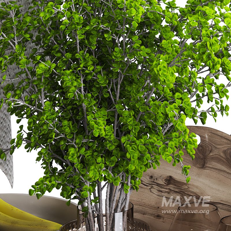 Kitchen accessories 010 - Image 5