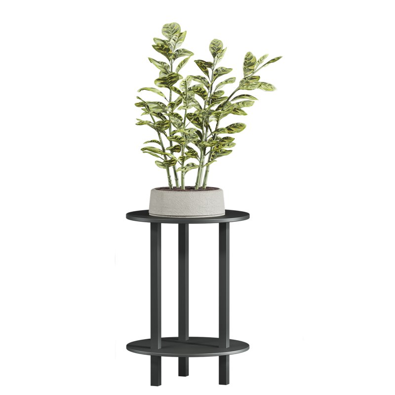 plants set - Image 3