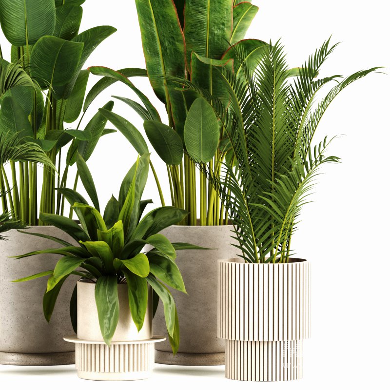 Indoor plants set159 - Image 4