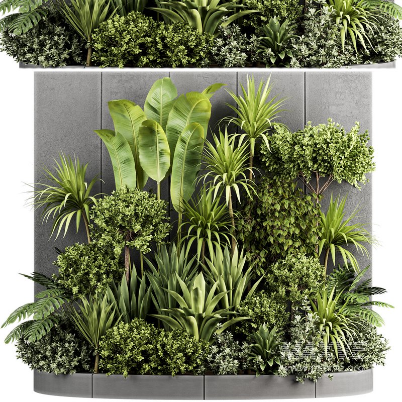 Plants In Box set-154 - Image 2