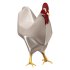 rooster chicken - Thumbnail 3
