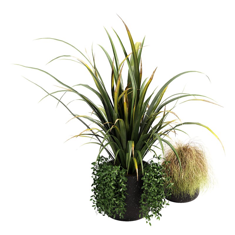 Outdoor Planters - Image 1