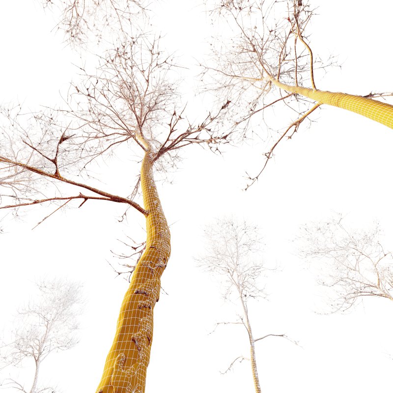 AV Plants Ash Tree Winter Snow Set02 - Image 3