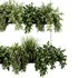 Indoorplants-Hanging plants set-86 - Thumbnail 3