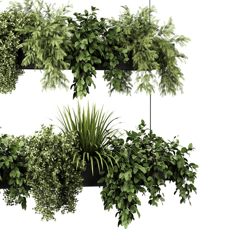 Indoorplants-Hanging plants set-86 - Image 3