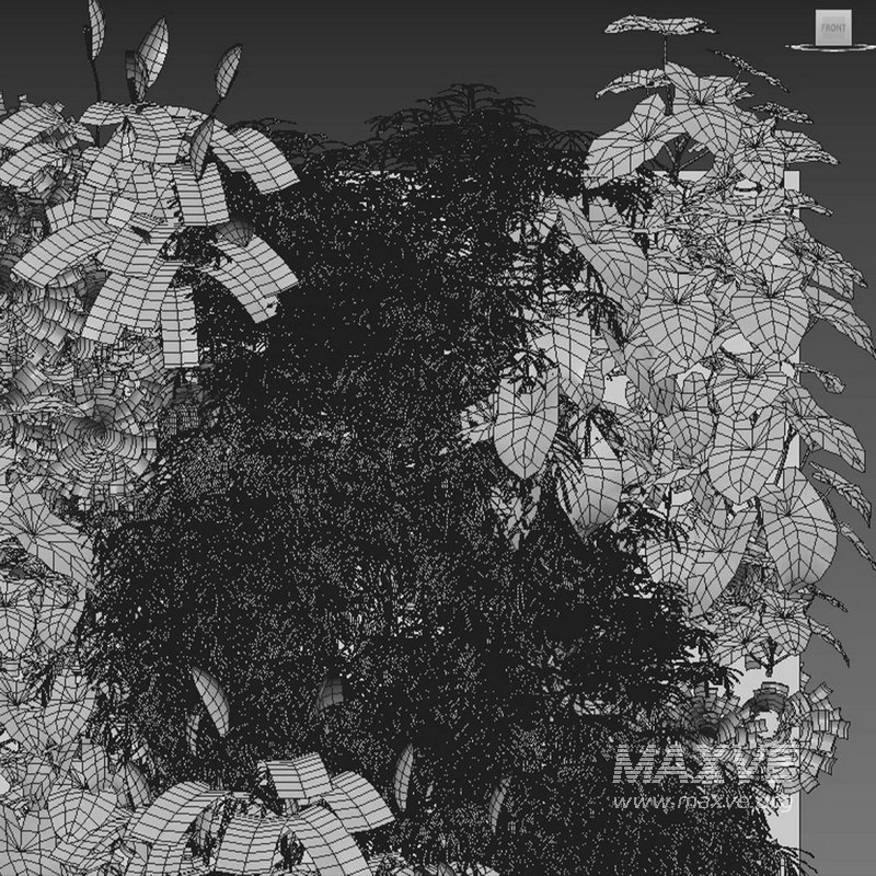 Vertical garden 05 - Image 2