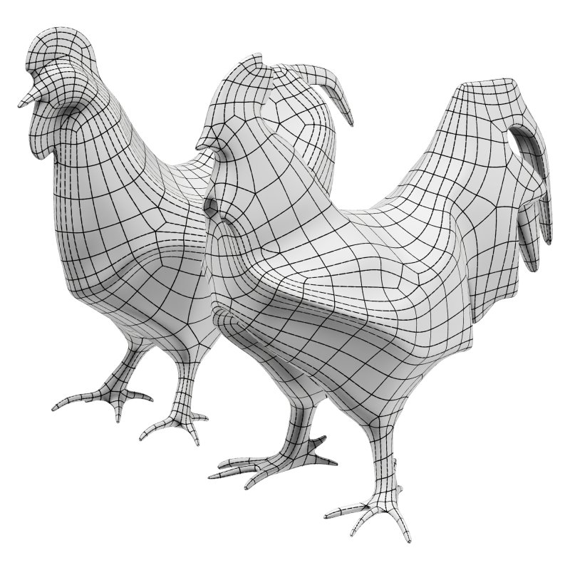 rooster chicken - Image 2