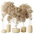 AV Indoor plants set 160 Artificial Olivo Olea Tree and Yucca Elephantipes Gigantea and Ficus Retusa Microcarpa Bonsai Ginseng - Thumbnail 7