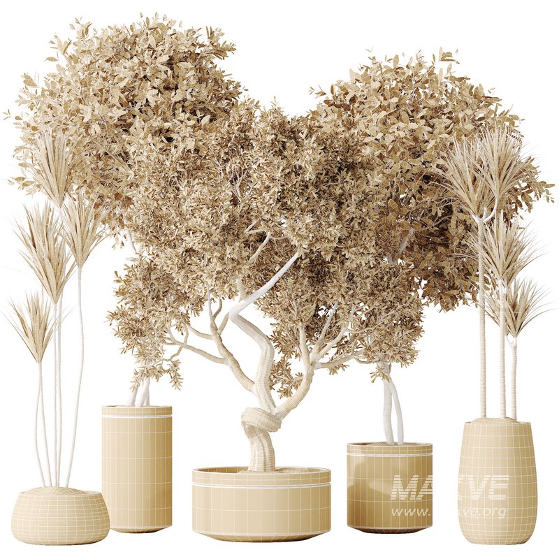 AV Indoor plants set 160 Artificial Olivo Olea Tree and Yucca Elephantipes Gigantea and Ficus Retusa Microcarpa Bonsai Ginseng - Image 7