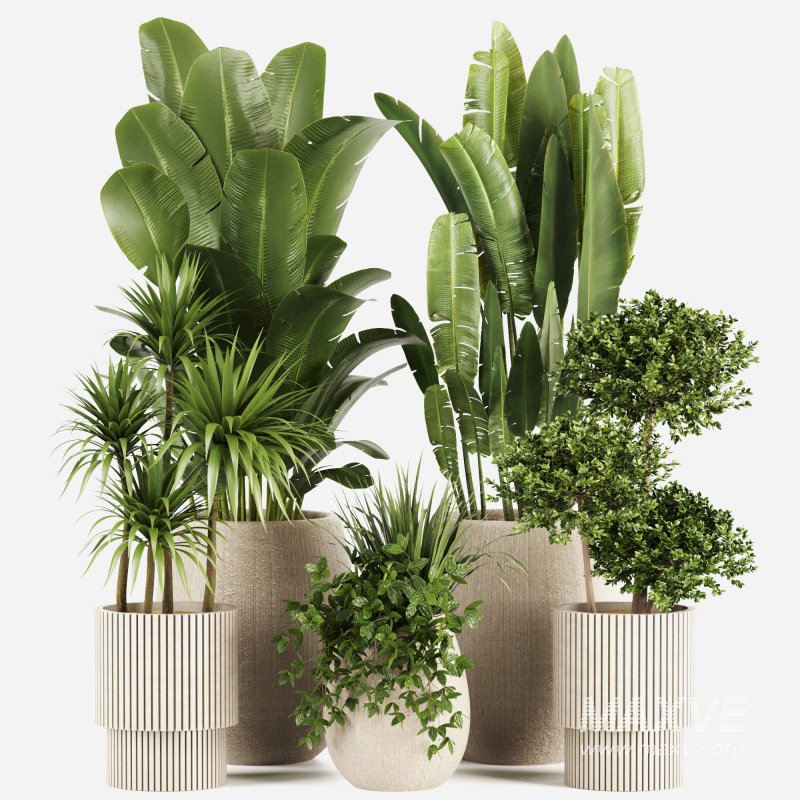 Indoor plants set160 - Image 2