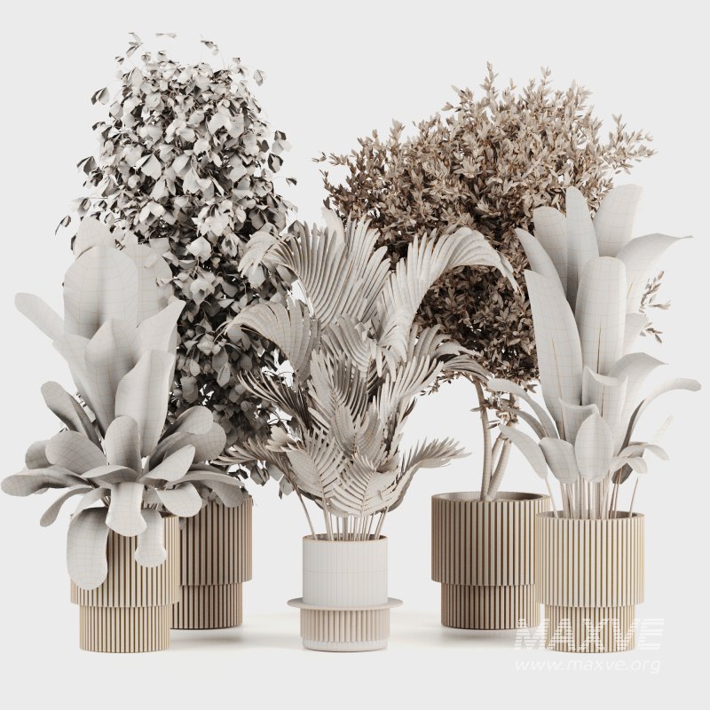 Indoor Plants set 166 - Image 5