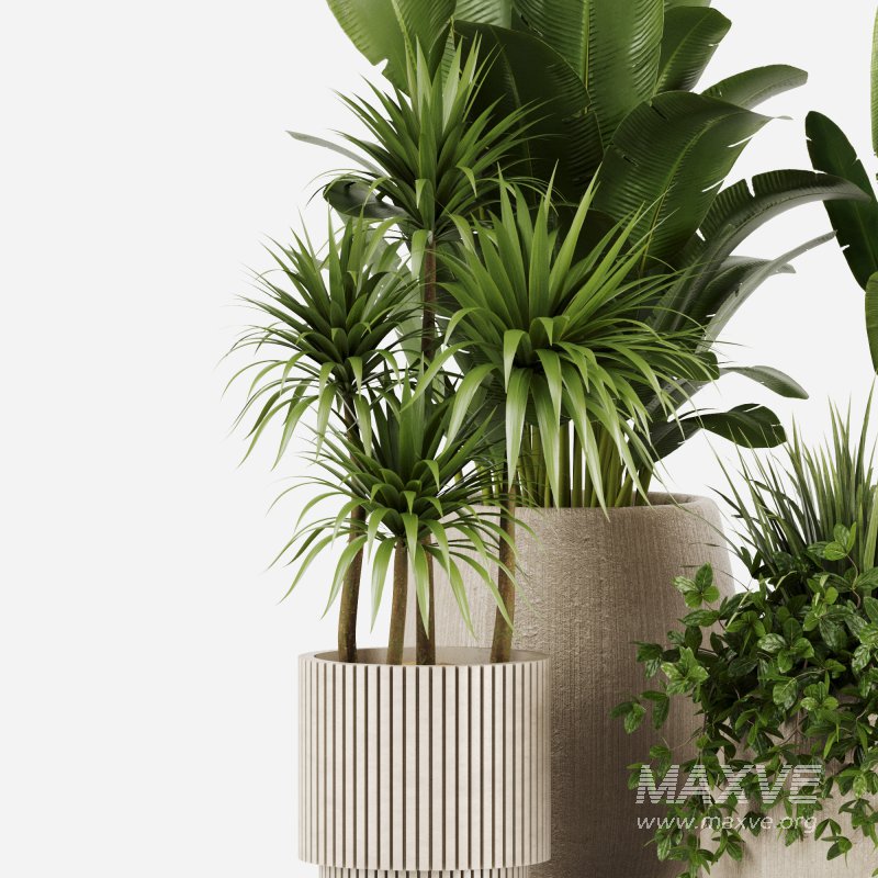 Indoor plants set160 - Image 3