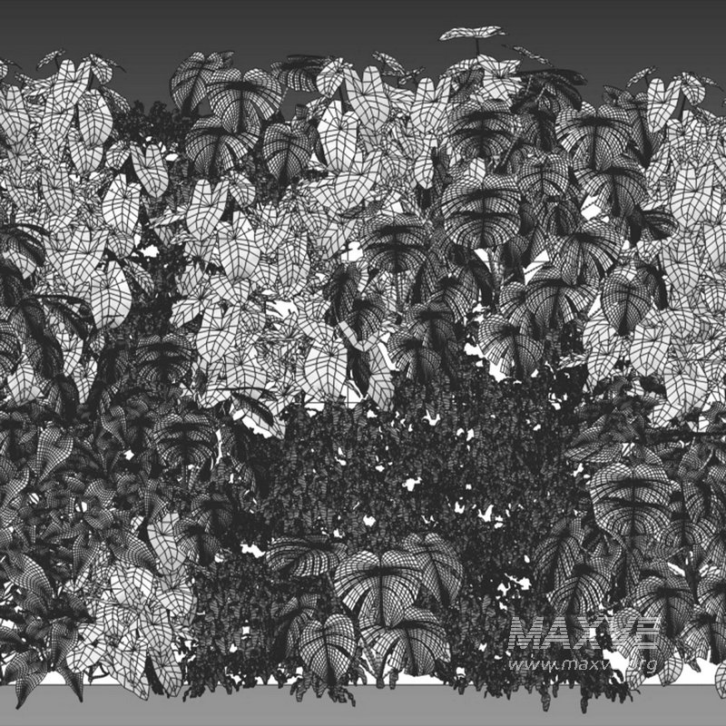 Vertical garden 01 - Image 2