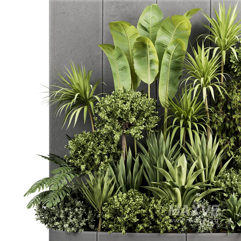 Plants In Box set-154 - Image 5