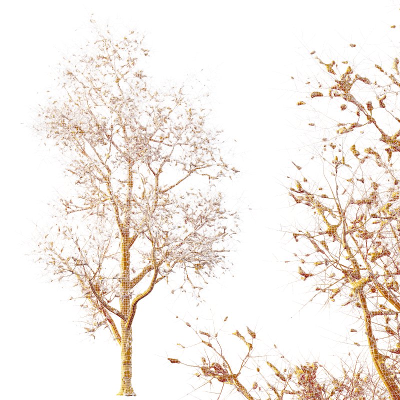 AV Plants Ash Tree Winter Snow Set03 - Image 3