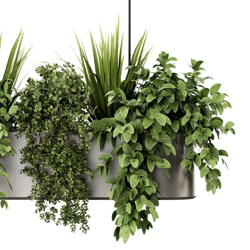 Indoorplants-Hanging set87 - Image 2