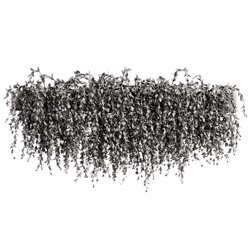 Green succulent leaves hanging vines - Image 4