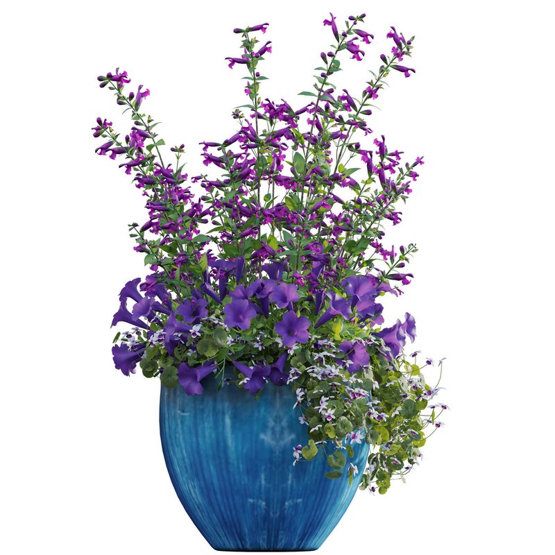 Pot plant 02 - Image 2