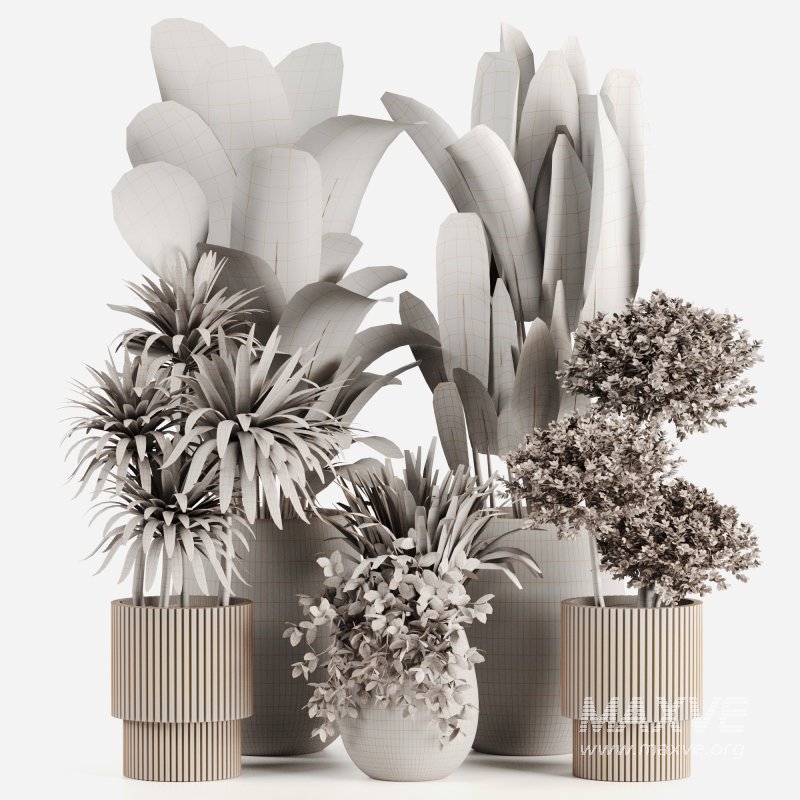 Indoor plants set160 - Image 5