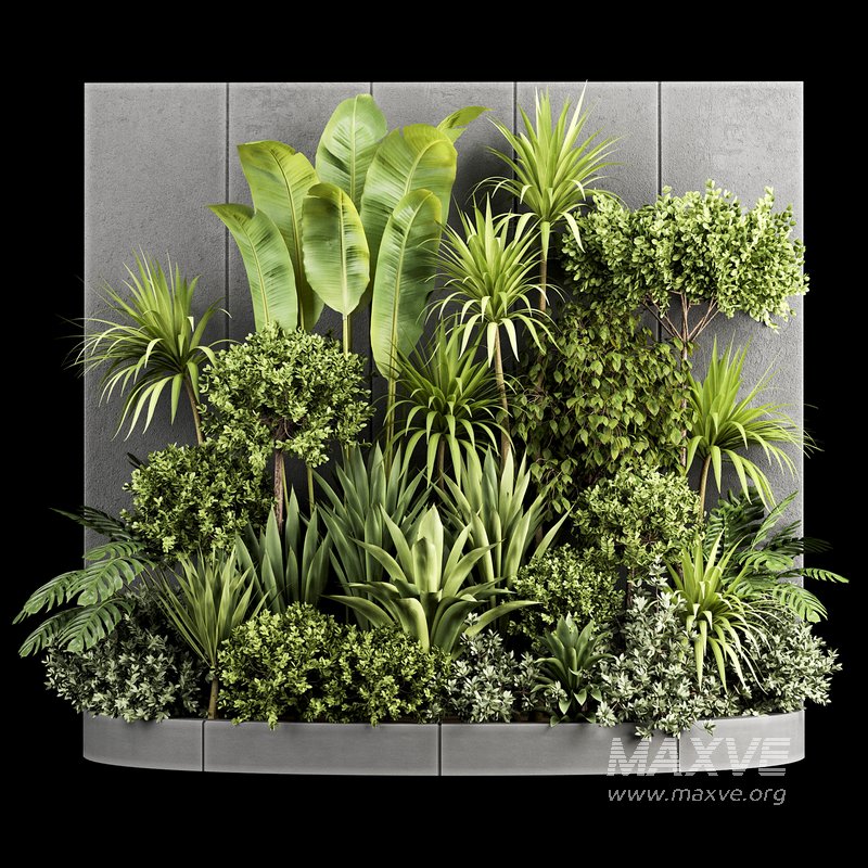 Plants In Box set-154 - Image 6
