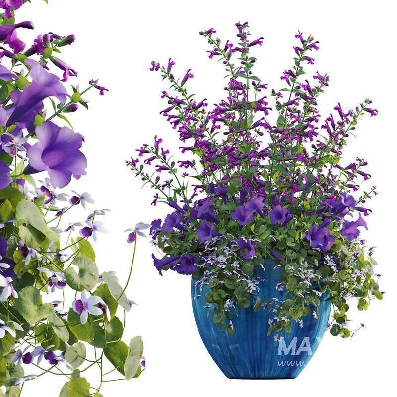 Pot plant 02 - Image 1