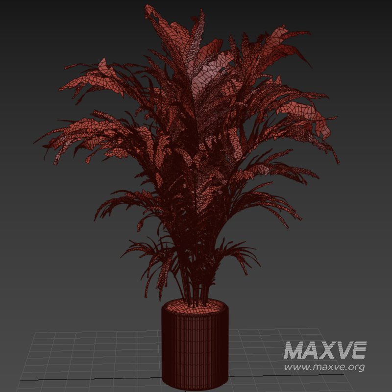 Indoor plant 02 - Image 5