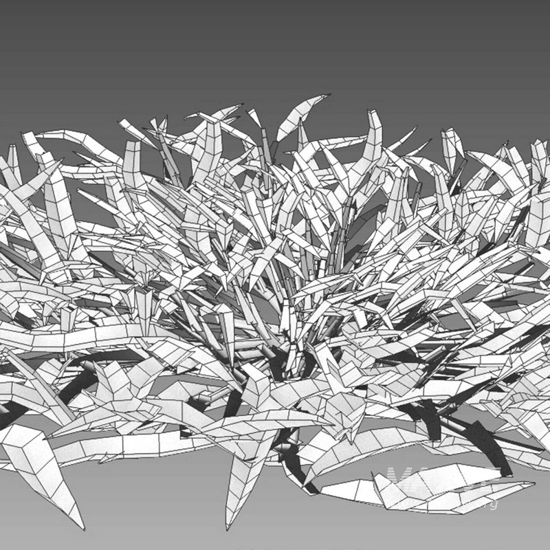 Eremochloa ophiuroides ¨C cut 02 - Image 8