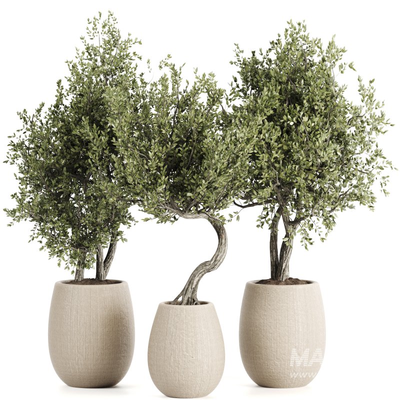 Indoor plants set161 - Image 2