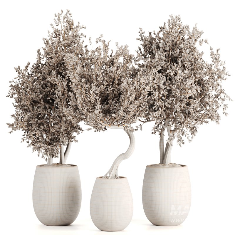 Indoor plants set161 - Image 5