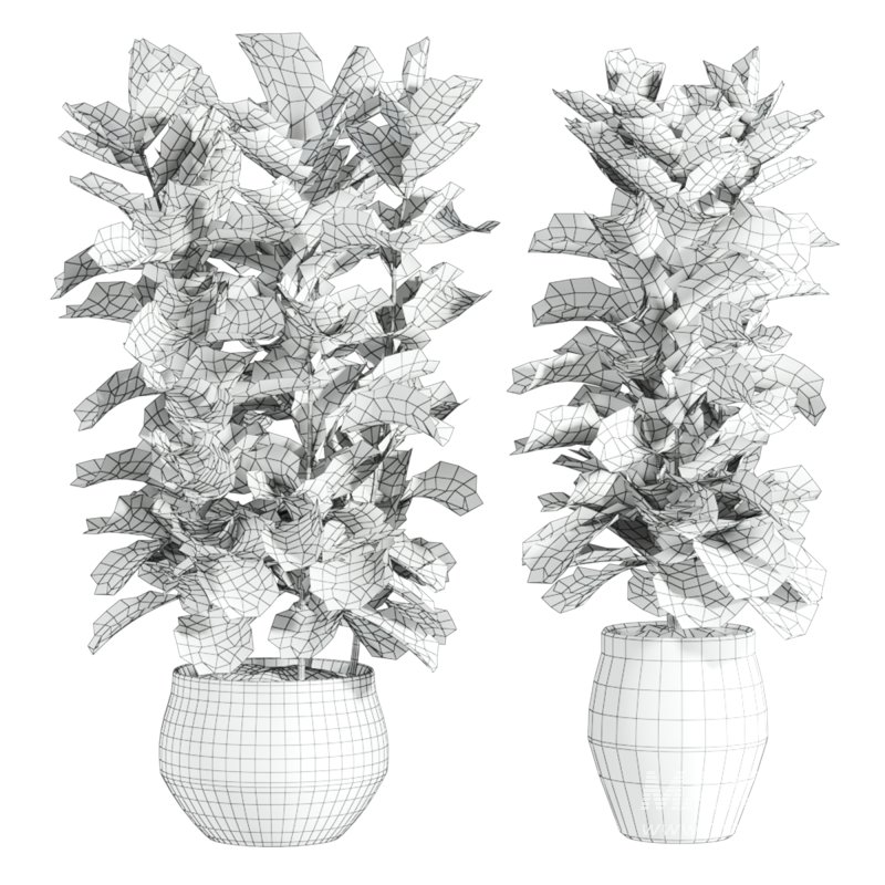 plants set - Image 3