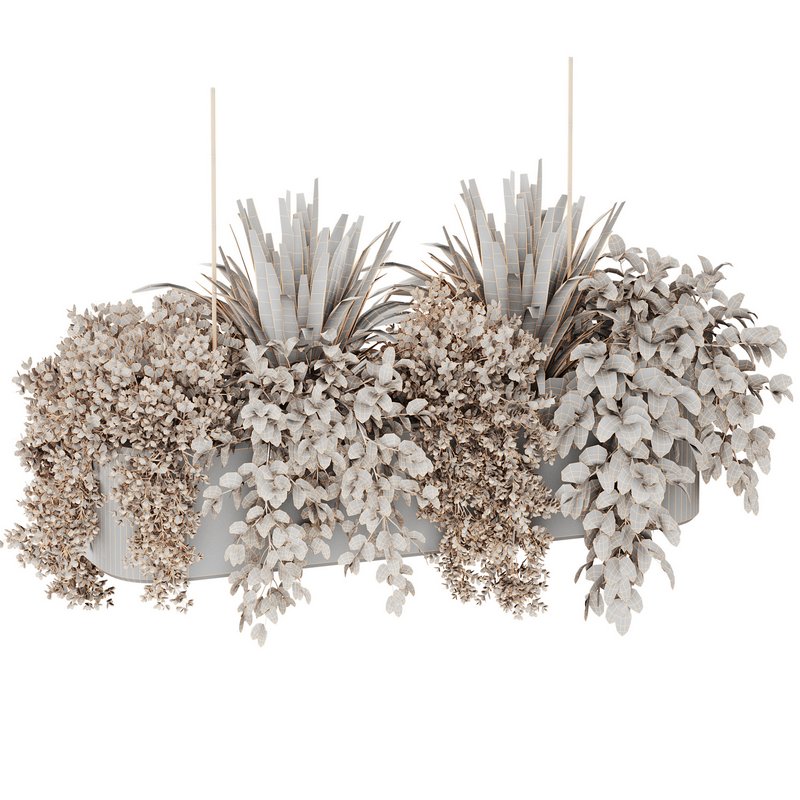 Indoorplants-Hanging set87 - Image 4