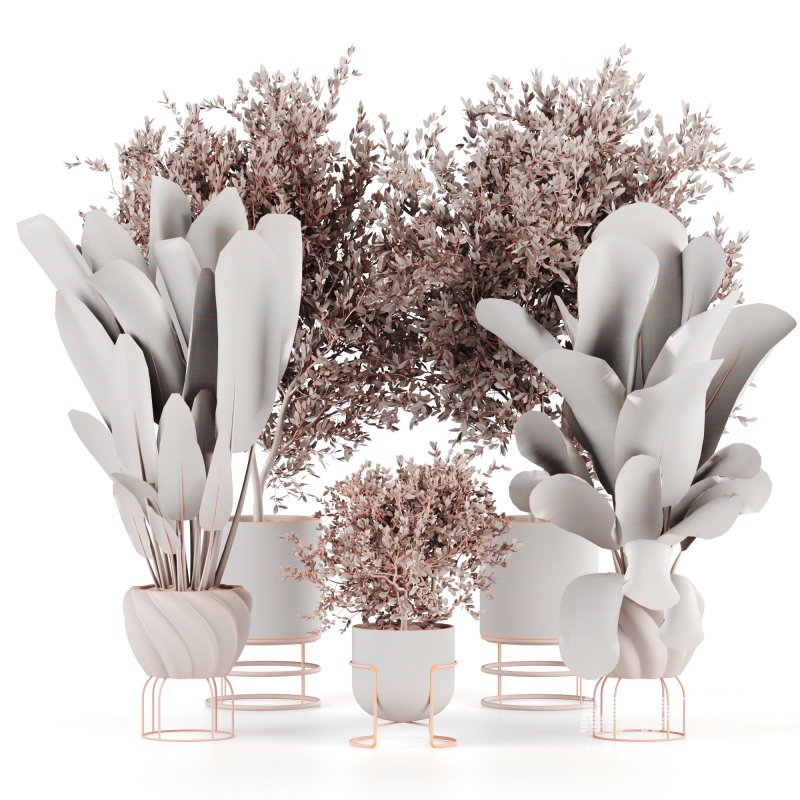 Indoor Plants set 165 - Image 6