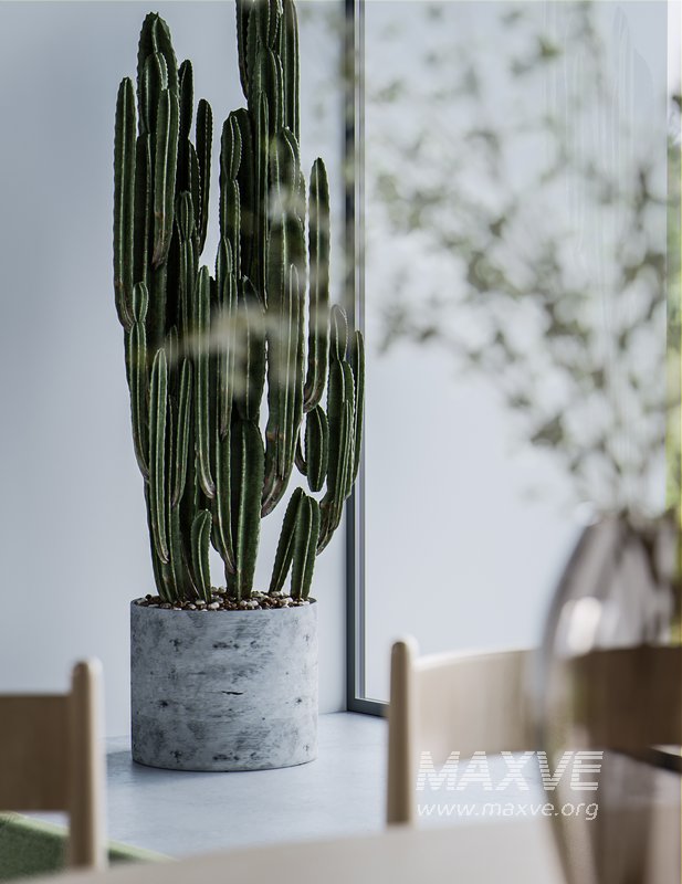 Living Room Dining Room - Image 3