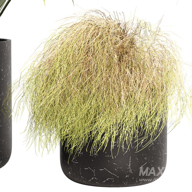 Outdoor Planters - Image 6