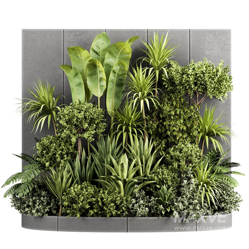 Plants In Box set-154 - Image 3