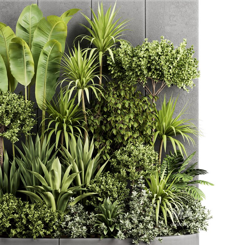 Plants In Box set-154 - Image 8