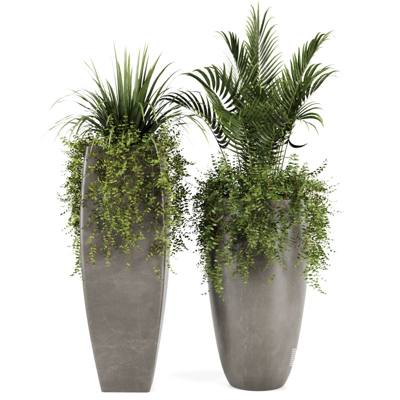 Indoorplants-Ivy plants in metal pot set-163 - Image 5