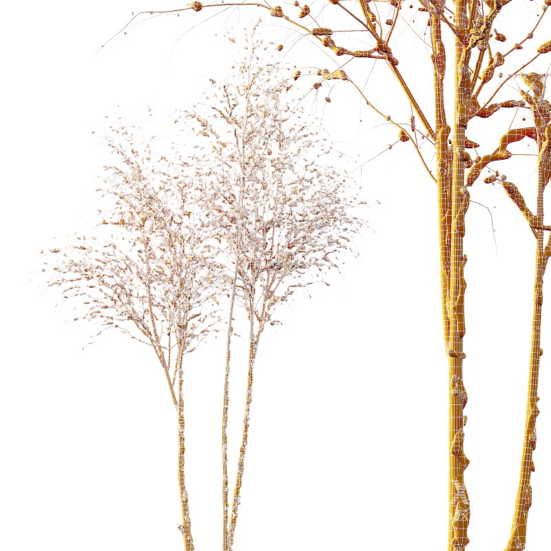 AV Plants Ash Tree Winter Snow - Image 3