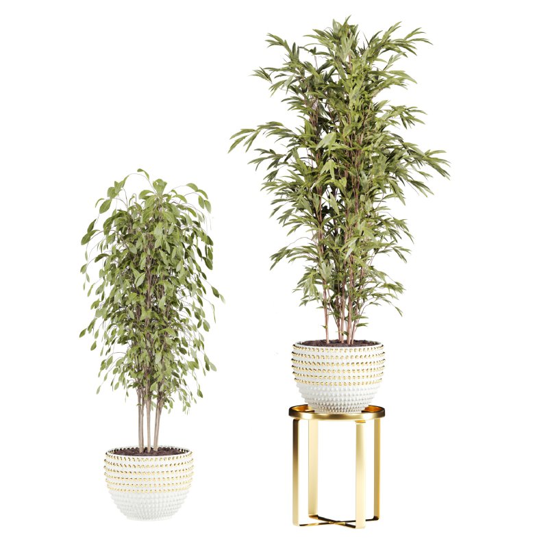 plants set - Image 1