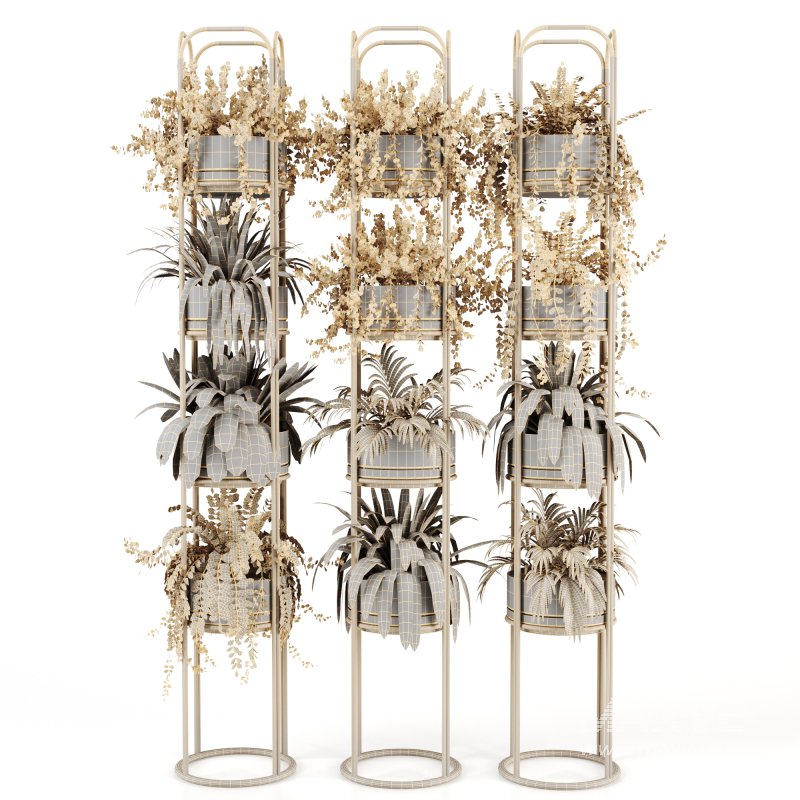 Indoorplants-Stand plant ivy set-164 - Image 4