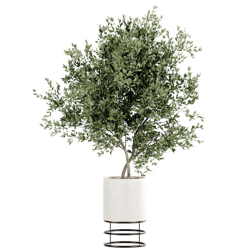 Indoor Plants set 165 - Image 5