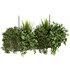 Indoorplants-Hanging set87 - Thumbnail 5
