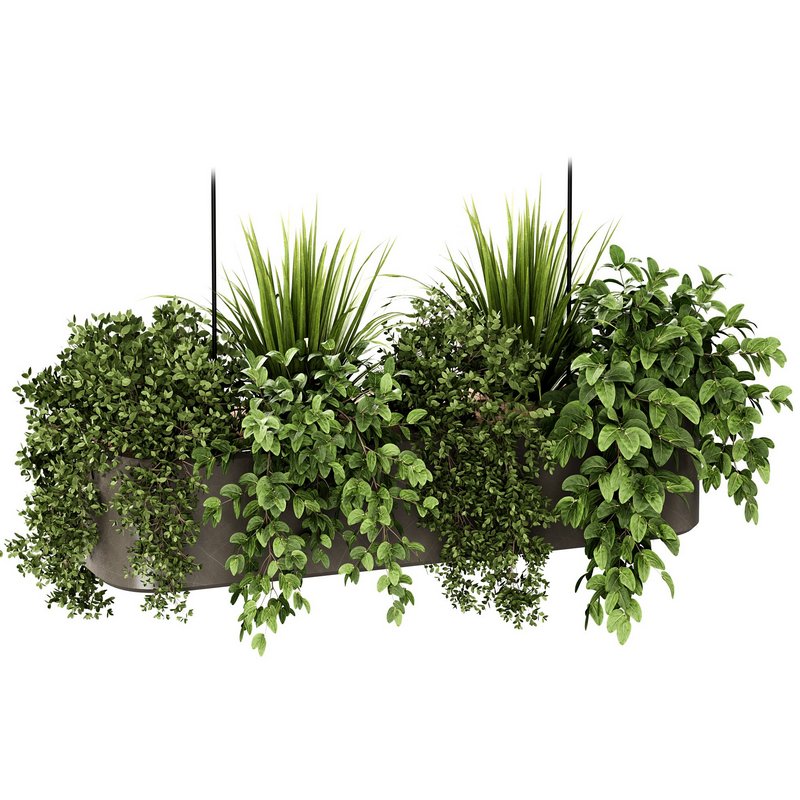 Indoorplants-Hanging set87 - Image 5