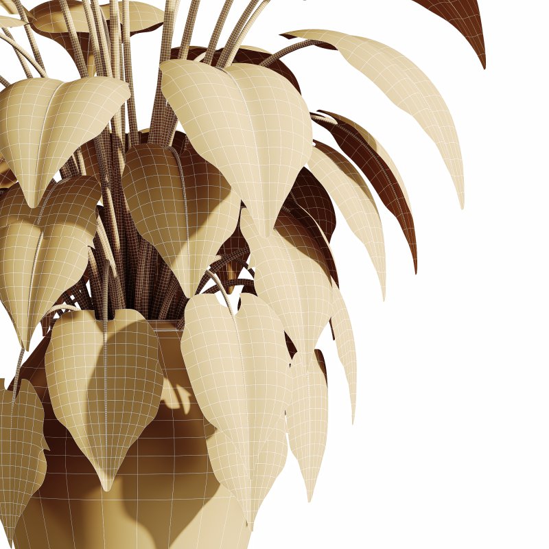 AV HousePlants - Image 3