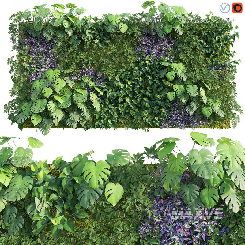 Vertical garden 03 - Image 1