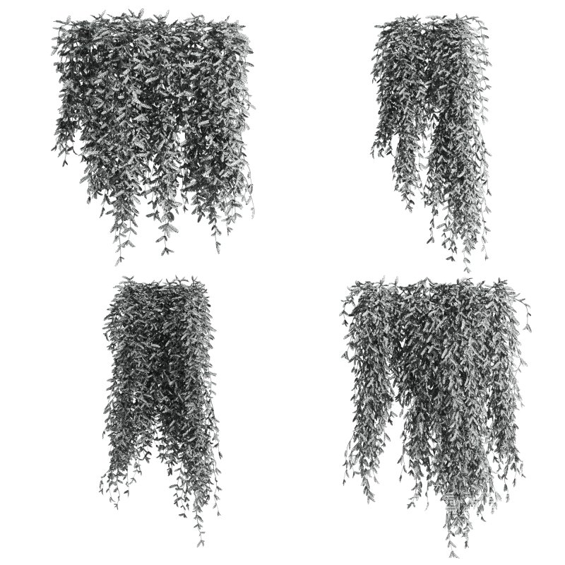 Plants_Set_61 - Image 2