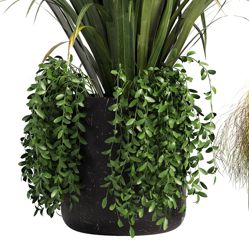 Outdoor Planters - Image 3