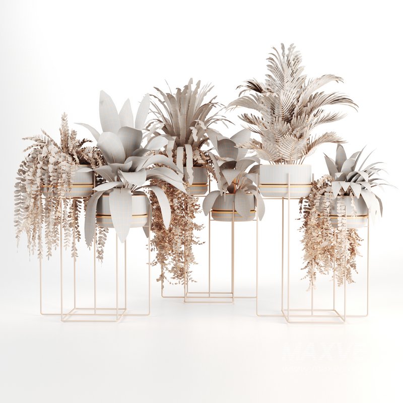 Indoorplants-155 - Image 3